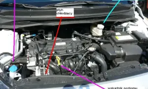 Co jest pod maską Toyota Yaris - kluczowe elementy silnika i ich funkcje