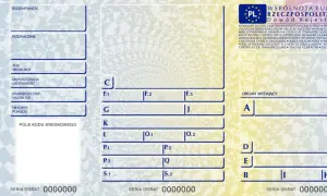 Fragment dowodu rejestracyjnego z polskimi oznaczeniami. Widoczne pola: Rodzaj pojazdu, Przeznaczenie, Rok produkcji, Nr karty pojazdu.