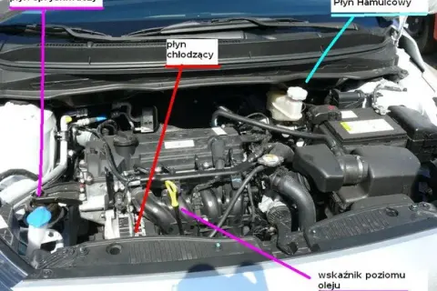 Co jest pod maską Toyota Yaris - kluczowe elementy silnika i ich funkcje