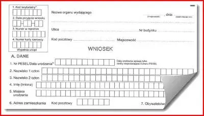 Co jest potrzebne do wyrobienia profilu kierowcy? Wymagania i dokumenty