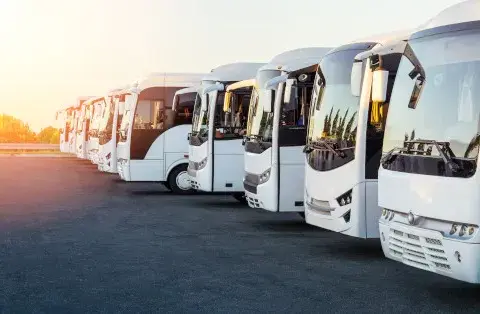 Wynajem busa na wesele – na co zwrócić uwagę?